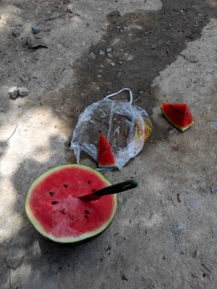 ���ݲ���