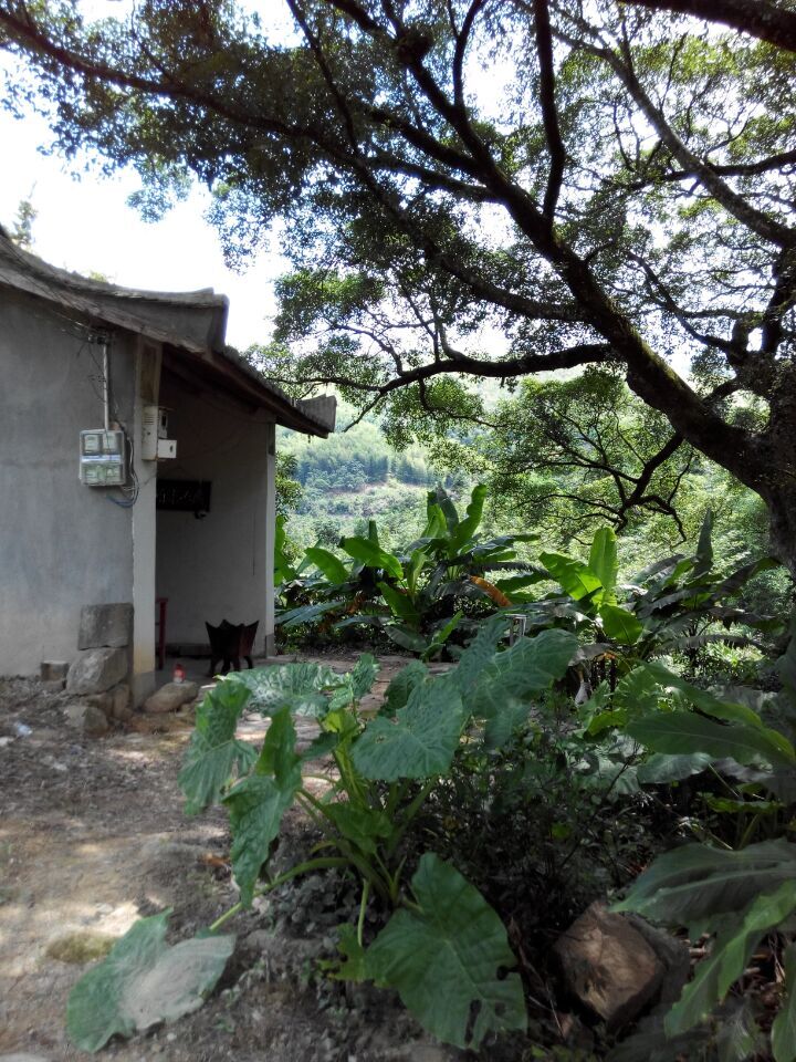 ��ͷ����