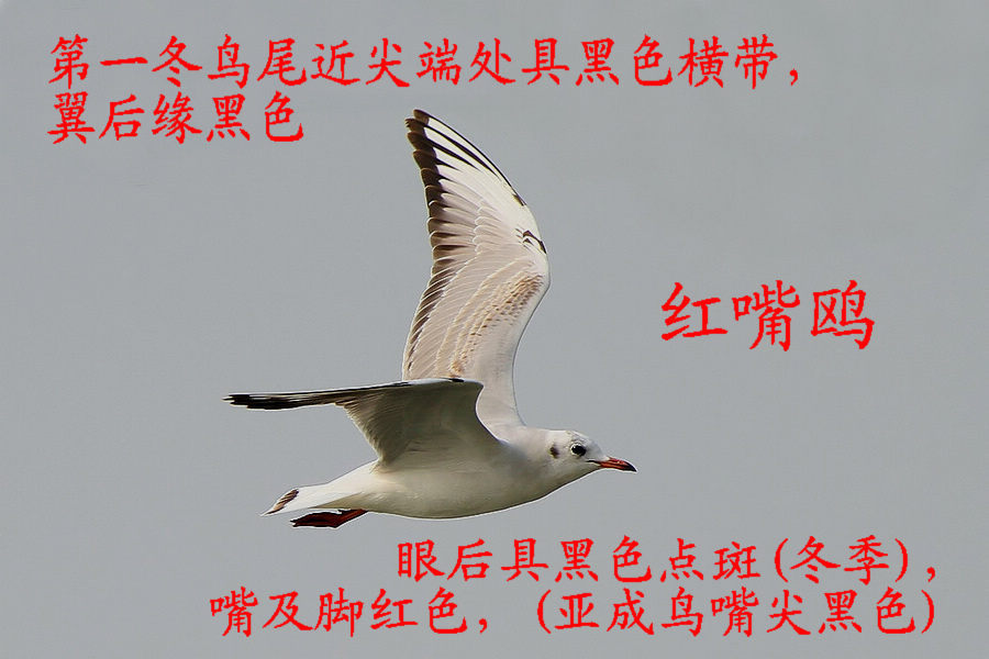 ����Ÿ ��һ�� ����.jpg