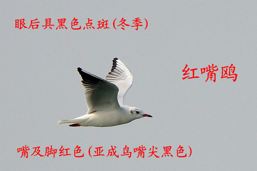 ����Ÿ ����.jpg