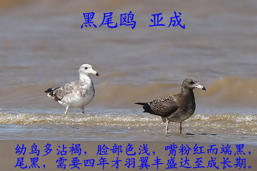 ��βŸ �ǳ�.jpg