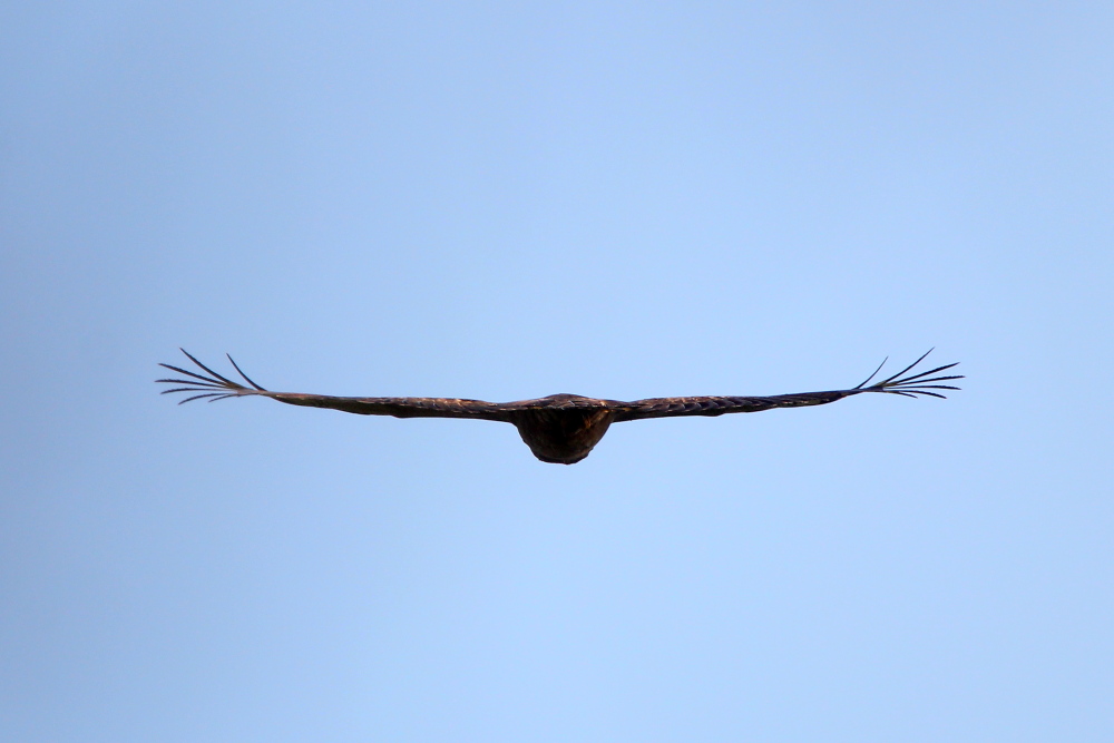 20151117�ߵ�1.JPG