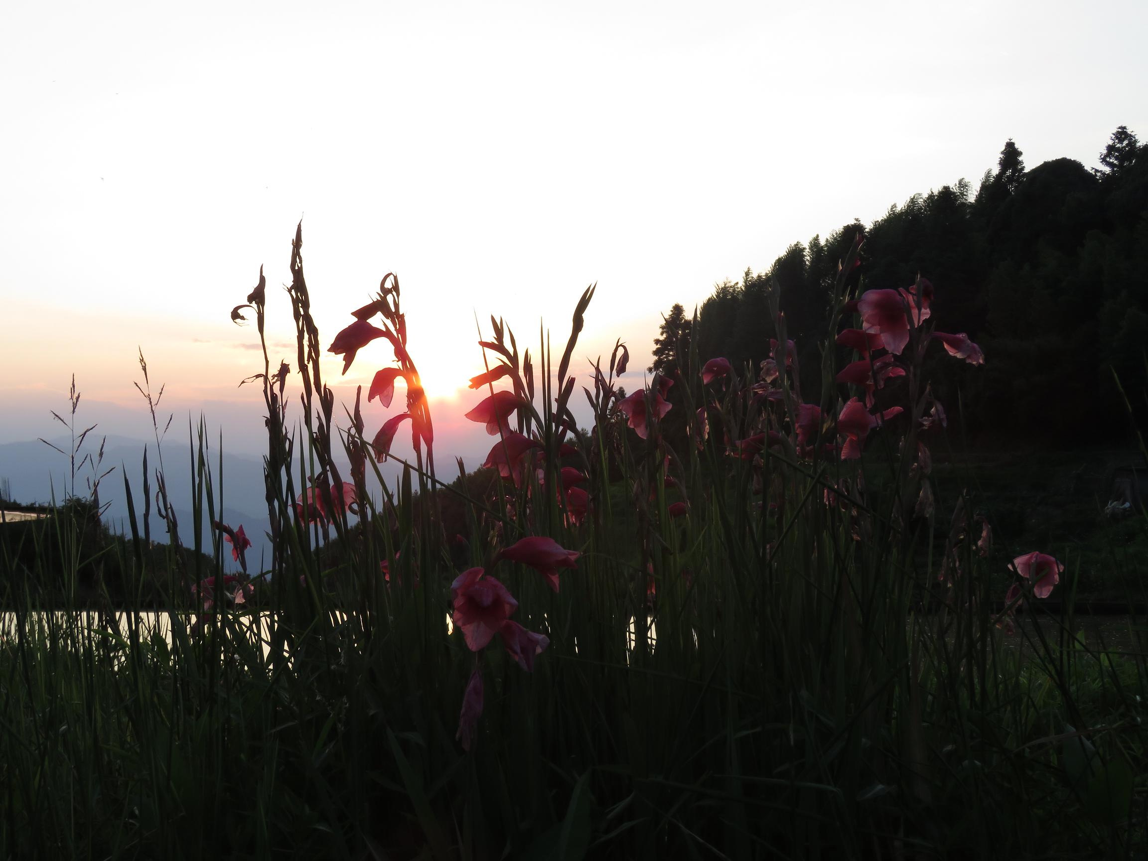 IMG_1150.JPG