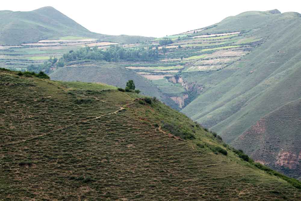 3S7A5168_ͼ.jpg