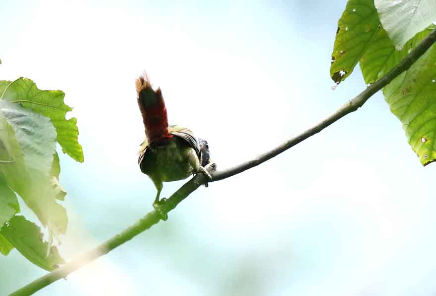 3S7A0327_ͼ.jpg